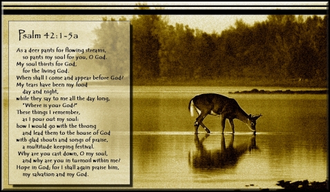 psalm-42